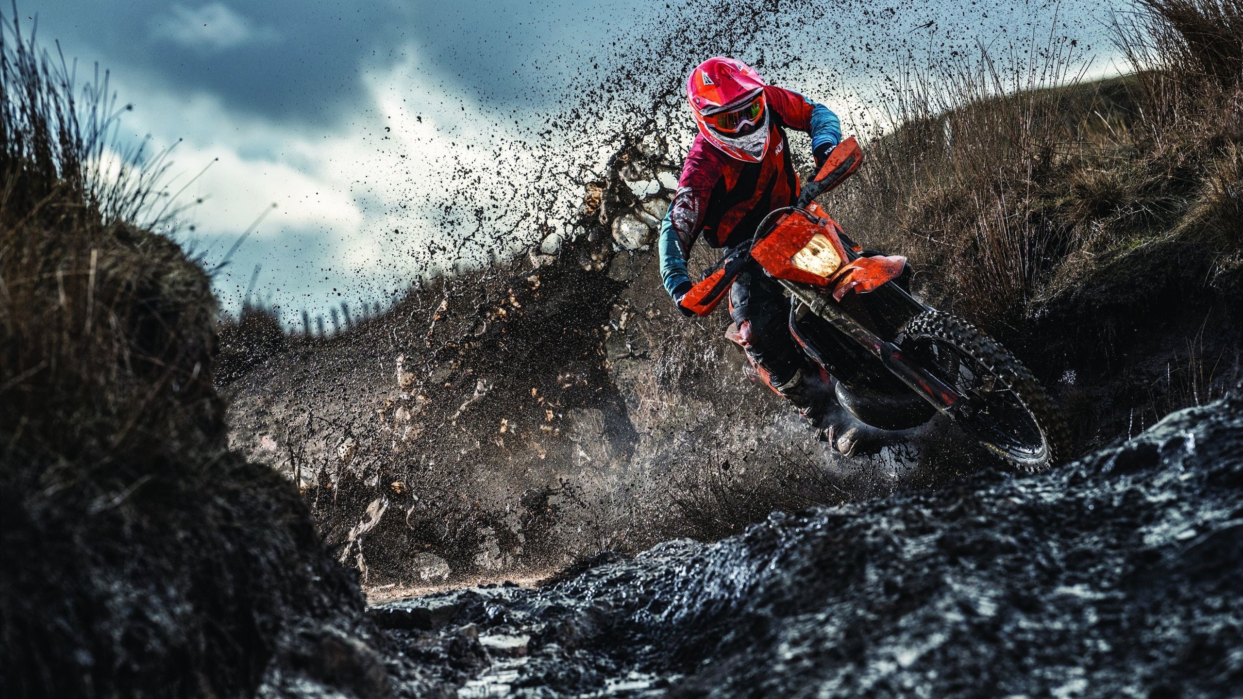 _奇才战术逐步成熟，表现稳中有升_，奇才对战