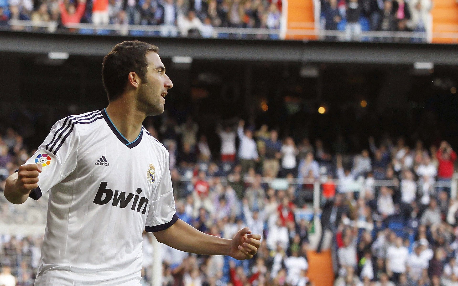 “足球场馆智能化管理系统正式投入使用”，足球场馆建设